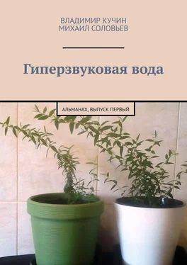 Владимир Кучин Гиперзвуковая вода обложка книги