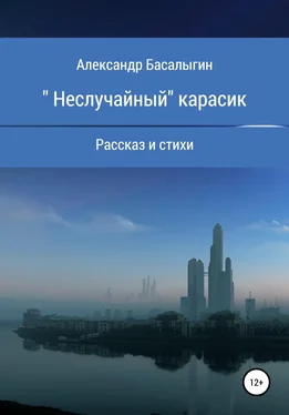 Александр Басалыгин «Неслучайный» карасик обложка книги