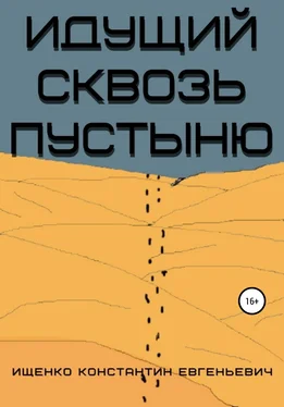 Константин Ищенко Идущий сквозь пустыню обложка книги