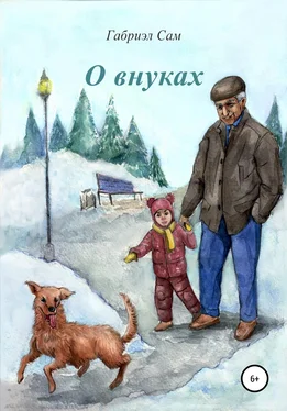 Габриэл Сам О внуках обложка книги