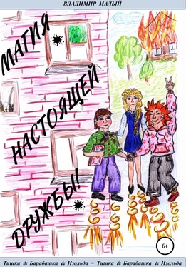 Владимир Малый Т&Б&И. Магия настоящей дружбы! обложка книги