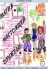 Владимир Малый - Т&amp;Б&amp;И. Магия настоящей дружбы!