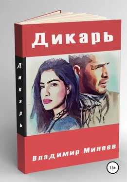Владимир Минеев Дикарь обложка книги