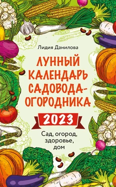 Лидия Данилова Лунный календарь садовода-огородника 2023. Сад, огород, здоровье, дом обложка книги