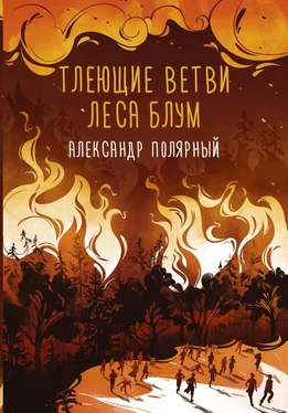 Александр Полярный Тлеющие ветви леса Блум обложка книги