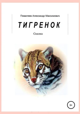 Александр Поваляев Тигренок обложка книги