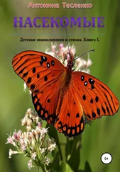 Антонина Тесленко - Насекомые