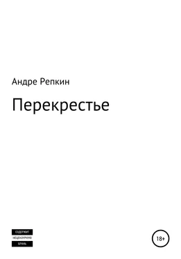 Андре Репкин Перекрестье обложка книги