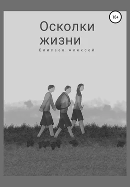 Алексей Елисеев Осколки жизни обложка книги