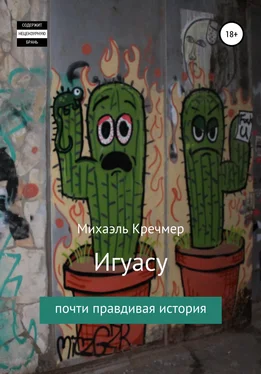 Михаэль Кречмер Игуасу обложка книги