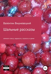 Валентин Вишневецкий - Шальные рассказы