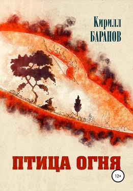 Кирилл Баранов Птица огня обложка книги