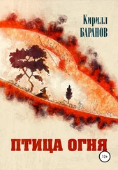 Кирилл Баранов - Птица огня