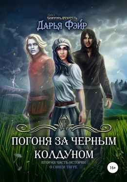 Дарья Фэйр Погоня за чёрным колдуном обложка книги