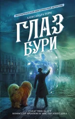 Александра Торн - Глаз бури