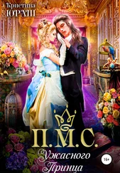 Кристина Юраш - Принесите мне совесть ужасного принца