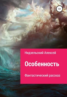 Алексей Нидзельский Особенность обложка книги