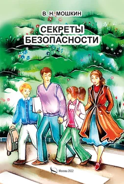 Владимир Мошкин Секреты безопасности обложка книги