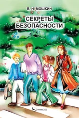 Владимир Мошкин - Секреты безопасности