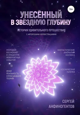 Сергей Анфиногентов Унесённый в звёздную глубину обложка книги