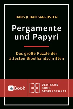 Hans Johan Sagrusten Pergamente und Papyri обложка книги