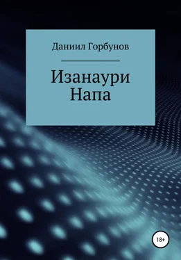 Даниил Горбунов Изанаури Напа обложка книги