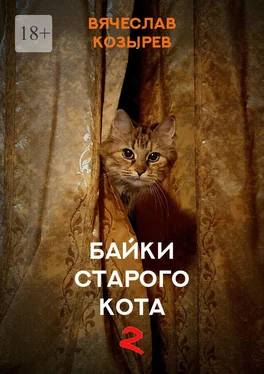 Вячеслав Козырев Байки старого кота – 2 обложка книги