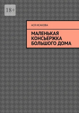 Ася Исакова Маленькая консьержка большого дома обложка книги