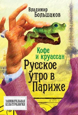 Владимир Большаков Кофе и круассан. Русское утро в Париже обложка книги