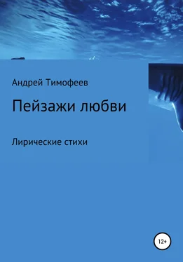 Андрей Тимофеев Пейзажи любви обложка книги