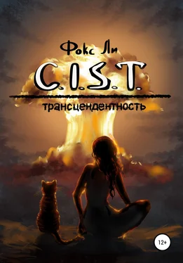 Фокс Ли C.I.S.T. Трансцендентность обложка книги