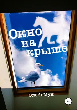 Олоф Мун Окно на крыше обложка книги