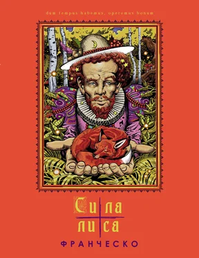 Франческо Сила лиса обложка книги