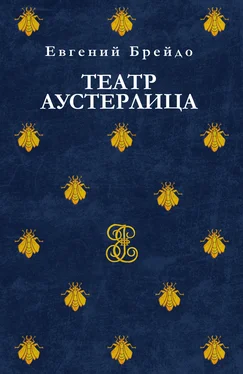 Евгений Брейдо Театр Аустерлица обложка книги