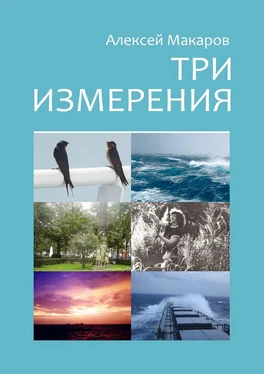 Алексей Макаров Три измерения. Сборник рассказов обложка книги