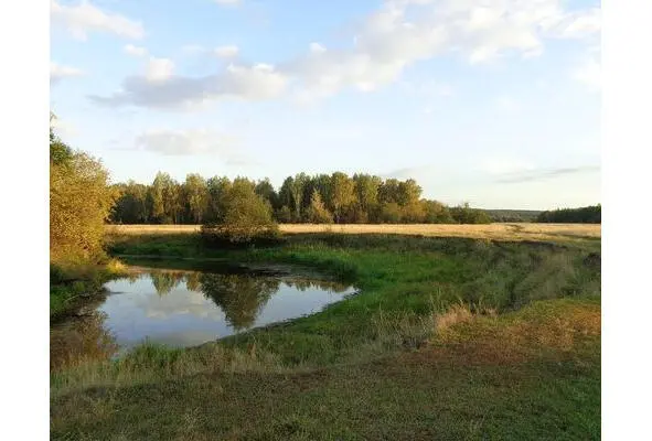 Река Балда Свердловской области также именуемая Балдянка Балдушка Из нашего - фото 3