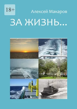 Алексей Макаров За жизнь… Сборник рассказов. Издание третье (переработанное и дополненное) обложка книги