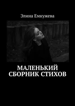 Элина Емкужева Маленький сборник стихов обложка книги