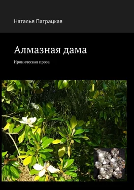 Наталья Патрацкая Алмазная дама. Ироническая проза обложка книги