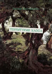 Евгений Биктимиркин - Территория хаоса