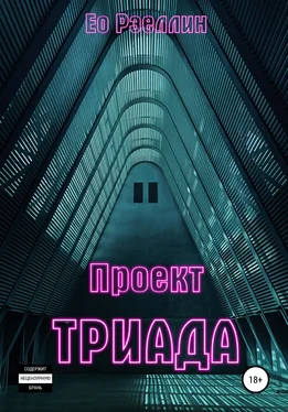 Ео Рэеллин Проект Триада обложка книги