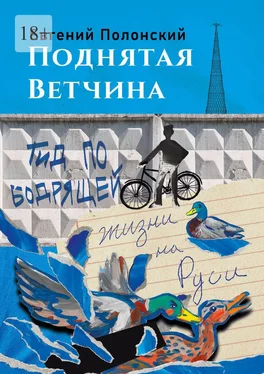 Евгений Полонский Поднятая ветчина. Гид по бодрящей жизни на Руси обложка книги