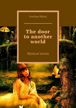 Svetlana Mirrai The door to another world. Mystical stories обложка книги