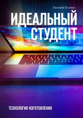 Евгений Пугачев - Идеальный студент. Технология изготовления