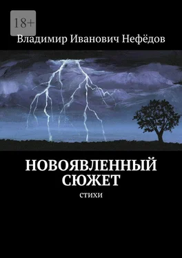 Владимир Нефёдов Новоявленный сюжет. Стихи обложка книги