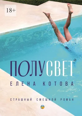 Елена Котова Полусвет. Страшный смешной роман обложка книги