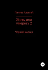Алексей Пичуев - Жить или умереть 2. Черный корсар