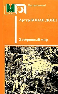 Артур Конан Дойль Затерянный мир (Художник Л. Фалин) обложка книги