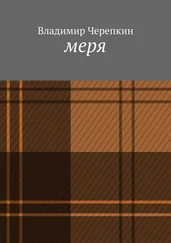 Владимир Черепкин - Меря