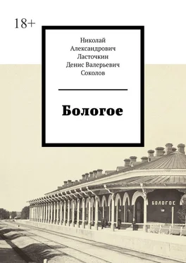 Денис Соколов Бологое обложка книги